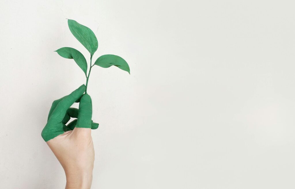 A green-painted hand gently holds a small green plant against a white background.