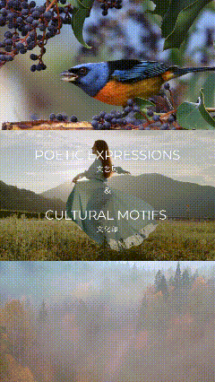 A colorful bird perches on a branch, a woman in a flowing dress stands in a field, and a misty forest scene.