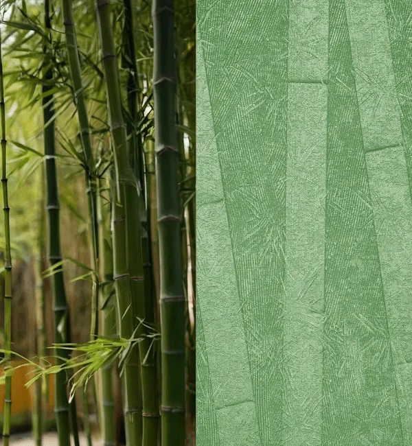 A lush bamboo forest is juxtaposed with a textured green pattern resembling bamboo stalks.