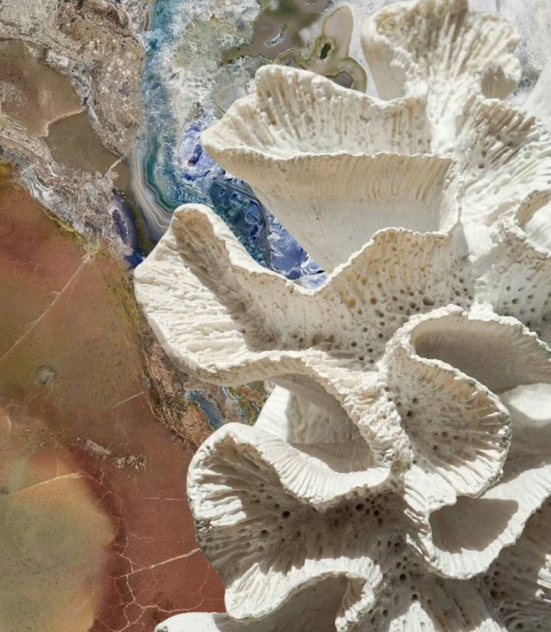 Art Paint 『GEOGRAPHIC』 | A Poem of Geological Time Written on the Wall